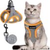 Pechera para gato - Image 3