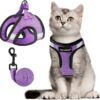 Pechera para gato