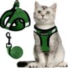 Pechera para gato - Image 2
